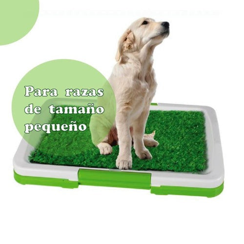 BAÑO ECOLÓGICO Y PORTÁTIL  PARA PERROS