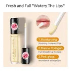 Voluminizador Labios